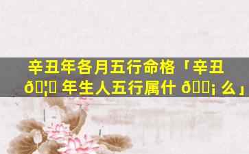辛丑年各月五行命格「辛丑 🦄 年生人五行属什 🐡 么」